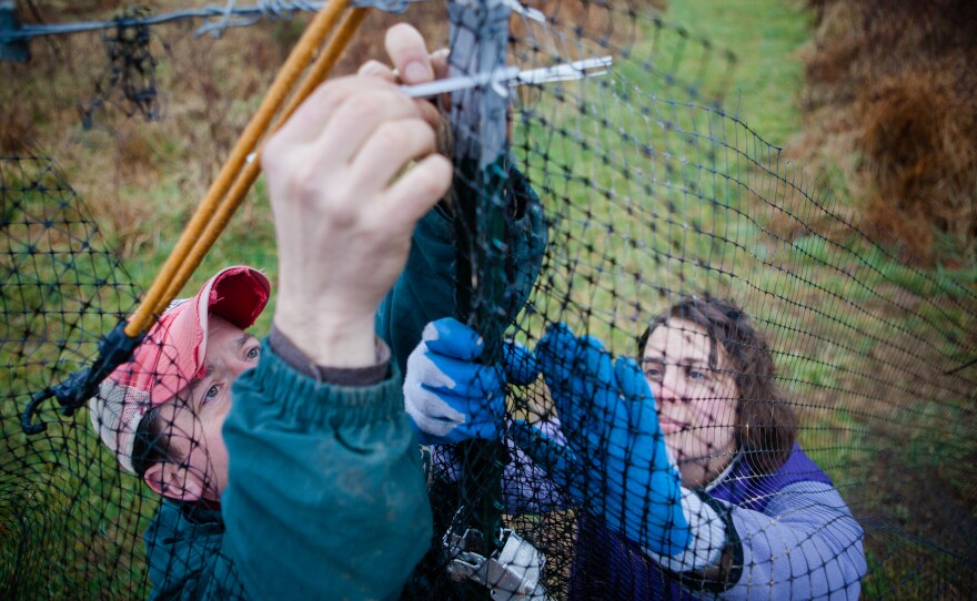 Guerre and his wife, Sara, work together to repair a section of fence that protects the crops from deer.