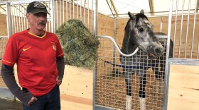 Joe Herrick stands in front of new stables at the San Luis Rey Training Center with his horse Lovely Finish who was burned during the Lilac Fire, April 29, 2018.