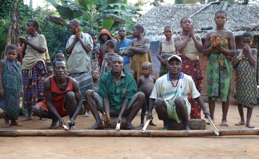 Men play a struck beau while women and children sing behind them at an Mbenzele Pygymy village.