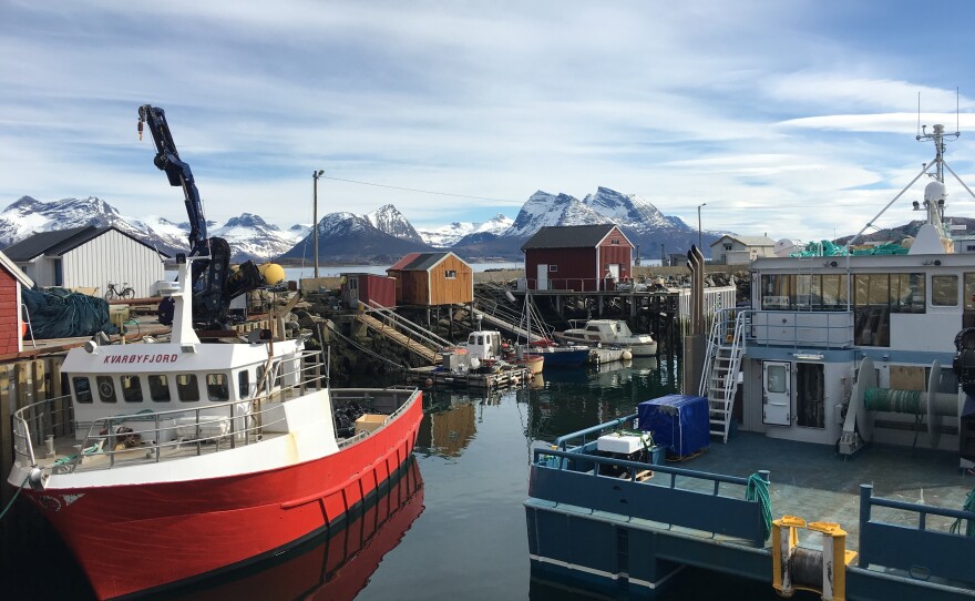 Norway, the country where modern fish farming was invented. Fish farms are becoming more popular as global demand for fish grows.