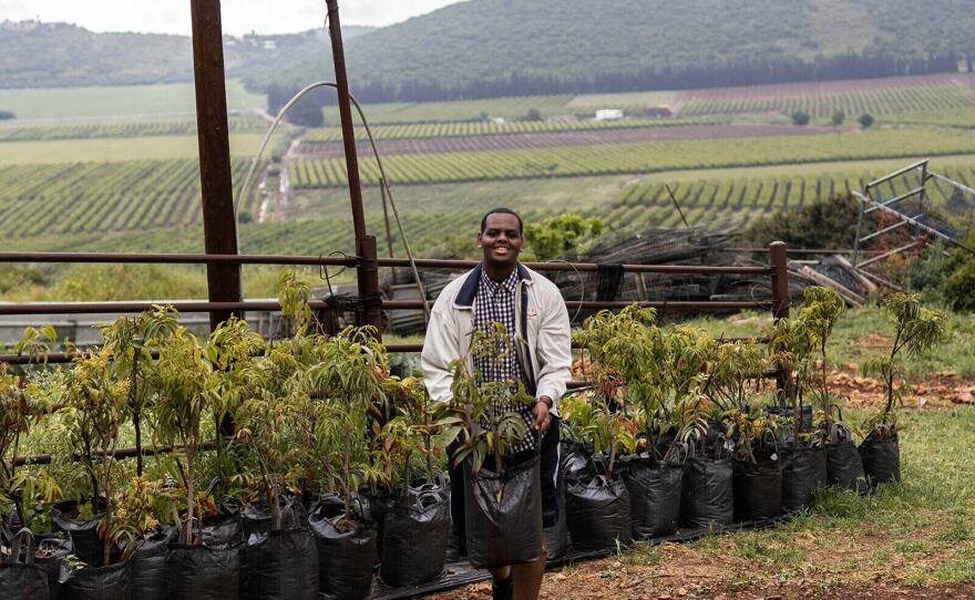 David and his group that traveled with the Philos Project volunteered at a farm called the Kibbutz Moran in Galilee in April.