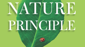 The Nature Principle
by Richard Louv