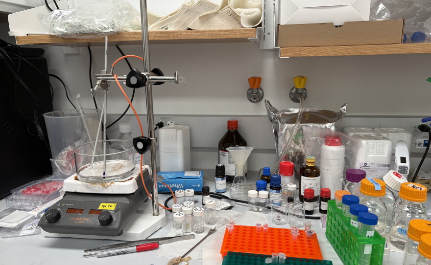 One bench in Rachael Sirianni's lab is still full of equipment — reagent bottles and pipettes. She had to lay off the researcher who was working here. "I can't bring myself to clear his bench," she says. "It makes me sad."