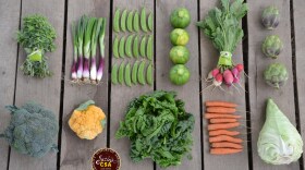Produce from a recent Community Supported Agriculture box from Suzie's Farm, a 140-acre farm south of Imperial Beach.