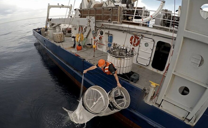 NOAA Fisheries researcher Dave Griffith washes down a bongo net aboard Scripps Oceanography R/V New Horizon in this undated photo.