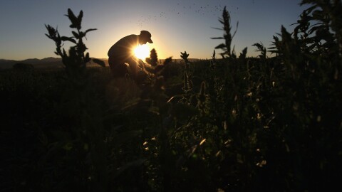San Diego Farm Bureau Chief Eric Larson said dry conditions mean farmers will have to use more water, which will raise their costs and cut into their profits.
