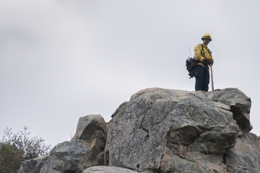 CalFire firefighters work to clean up the final hotspots of the Bunnie Fire in Ramona, Calif. Aug. 10, 2023.