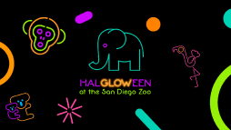 HalGLOWeen