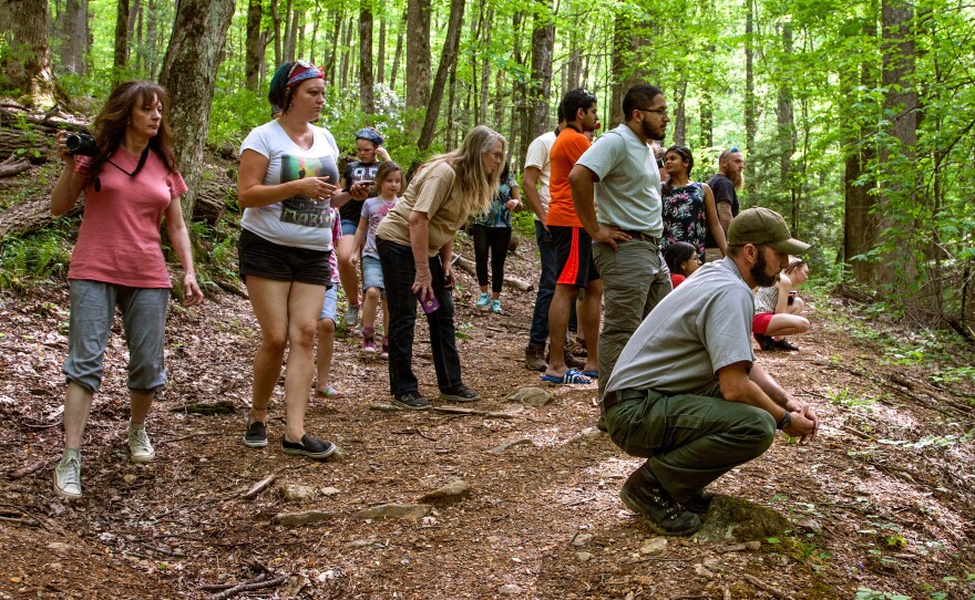 Ryan Williamson (crouching, right) studies the behavior of a black bear sow and her two young cubs, while also monitoring a crowd of tourists. "This is a safe distance," he says. Any closer and he'd scare the bears off.