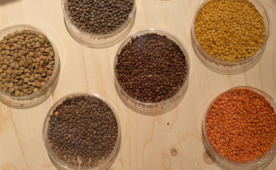 Daily Harvest issued a recall on a dish containing lentils. Various types of lentils are shown here.