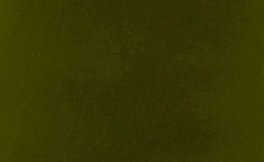 The cover of Kendrick Lamar's untitled unmastered. project.