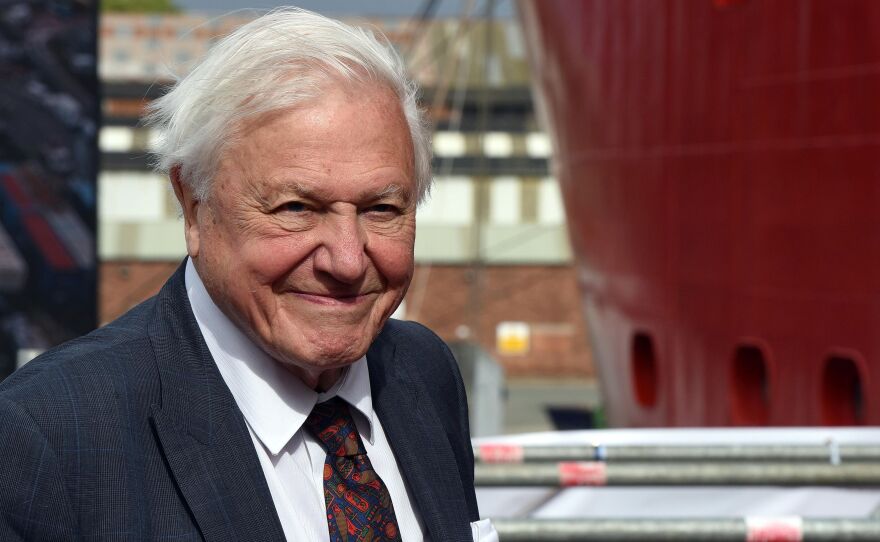 Sir David Attenborough, shown here during a ceremony last September, broke the world record on Thursday for the fastest time to reach one million followers on Instagram.