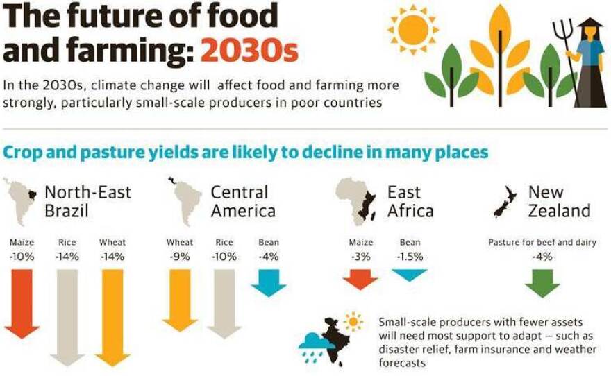 In the 2030s, climate change will affect food and farming more strongly, particularly small-scale in poor countries.