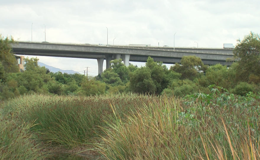 The San Diego River near Qualcomm Road, november 1, 2017.