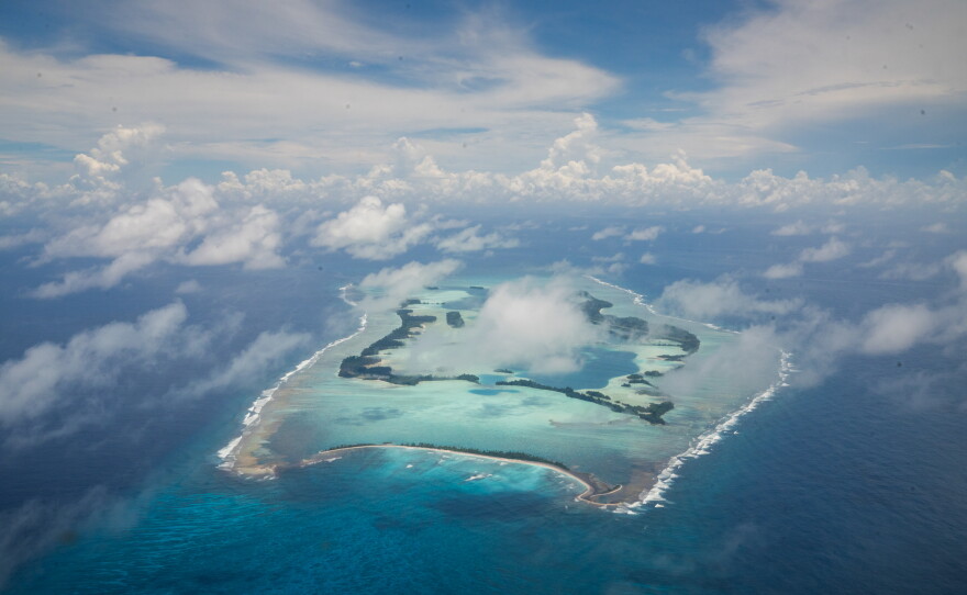 About 1,000 miles south of Hawaii, Palmyra Atoll is surrounded by a ring of coral reefs, formed around an ancient volcanic island that eroded under the sea.