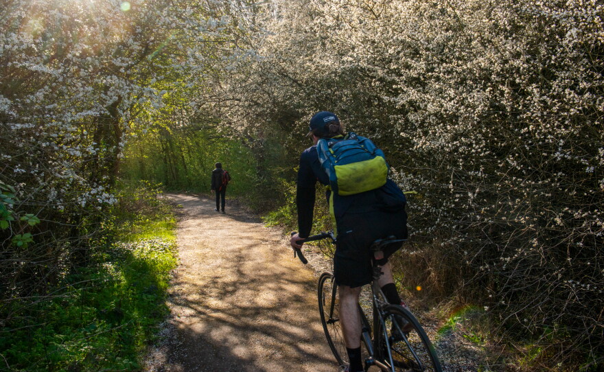 Commuters, tourists and recreationists enjoy hiking paths — and sometimes stop to watch the beavers in action — inside the Paradise Fields nature reserve.