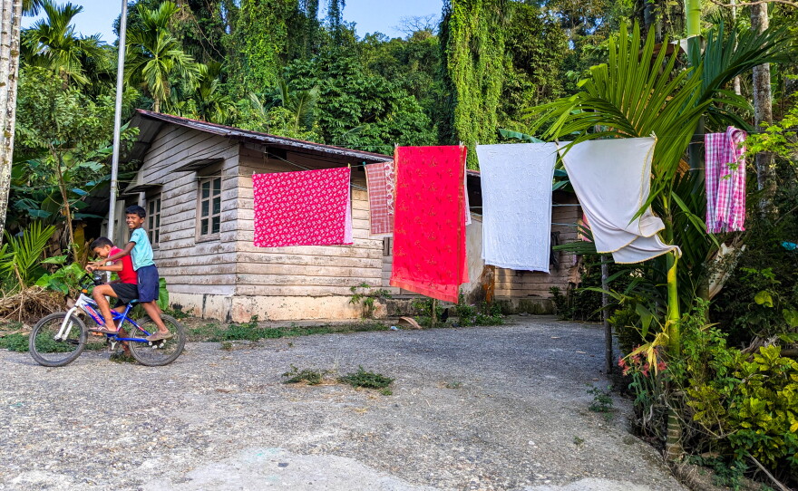 Apart from the indigenous people, the Great Nicobar island's population consists mainly of a few thousand settlers, who live in sleepy villages alongside dense forests. A major development project would dramatically alter the scene.