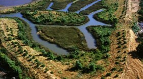 An aerial photo of islands in the Sacramento-San Joaquin Delta.
