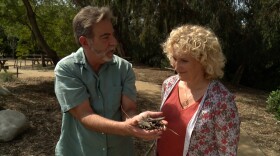 Founder of TreePeople, Andy Lipkis and Host Nan Sterman discuss urban forestry.