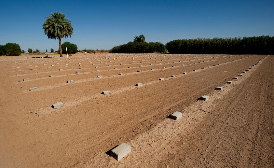 John Doe Cemetery in Holtsville, Calif.