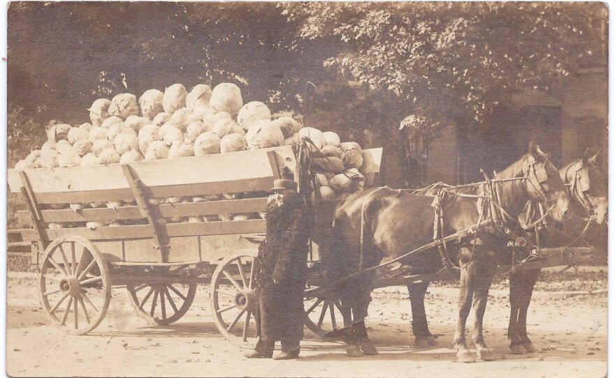 Fifty-three hundred pounds of drumhead cabbage on its way to sauerkraut near Roaring Spring in Morrison's Cove, Blair County, Pa., October 17, 1912.