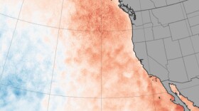 Sea surface temperature anomaly, March 2015. 