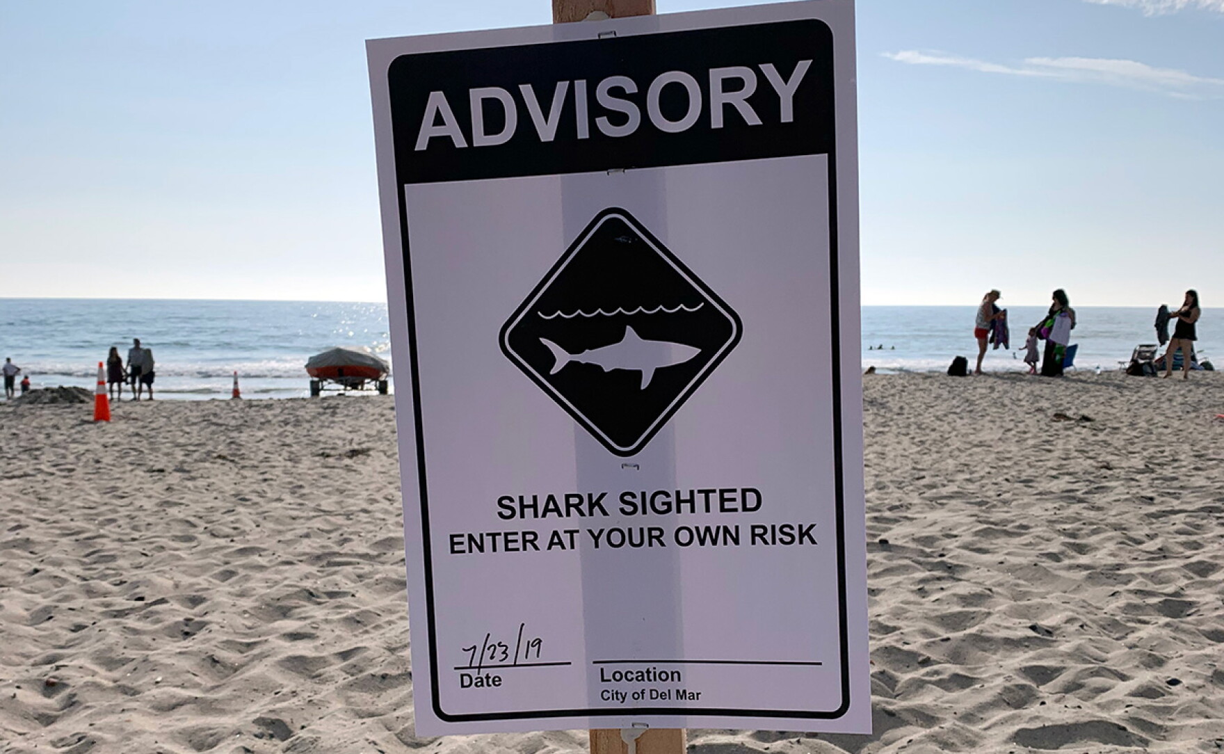 Shark Sightings Prompt Warning Signs In Del Mar | KPBS Public Media