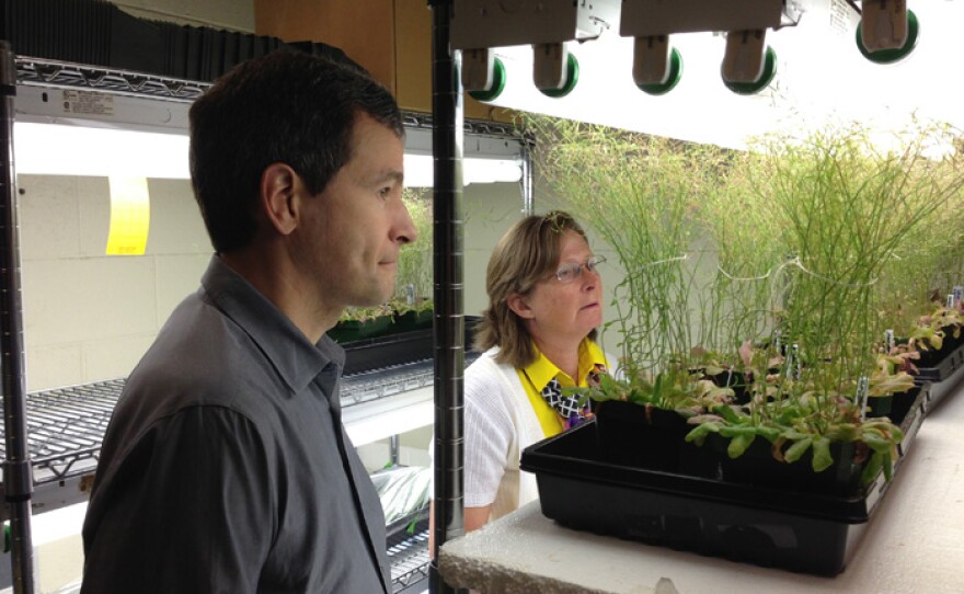 David Pogue and Dr. June Medford discuss "bomb sniffing plants."