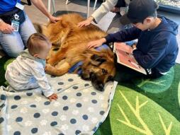 Paws & Tales Reading Program