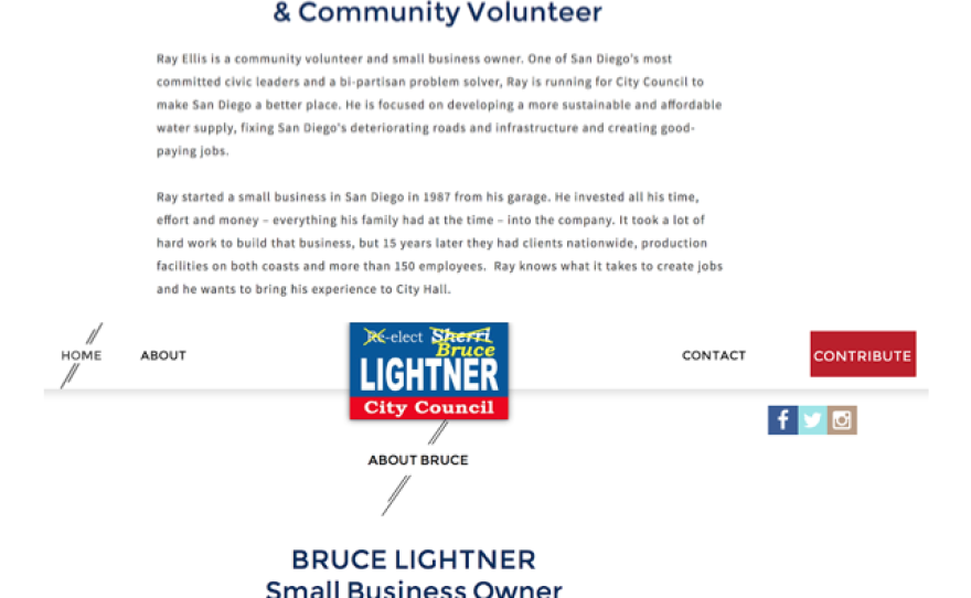 Two screenshots show the near identical designs of the campaign websites belonging to Ray Ellis and Bruce Lightner.