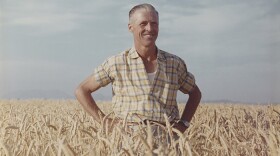 Norman Borlaug standing in wheat field. 1960s.