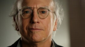 Larry David, creator of "Curb Your Enthusiasm" and "Seinfeld," is featured in AMERICA IN PRIMETIME.