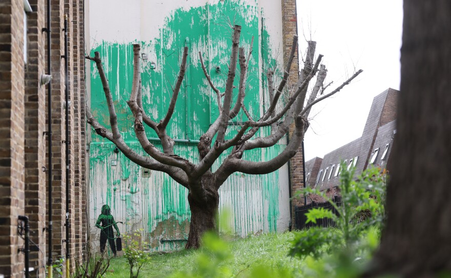 A new Banksy artwork near Finsbury Park in north London shows a stencil of a person having spray painted tree foliage onto a wall behind a leafless tree.