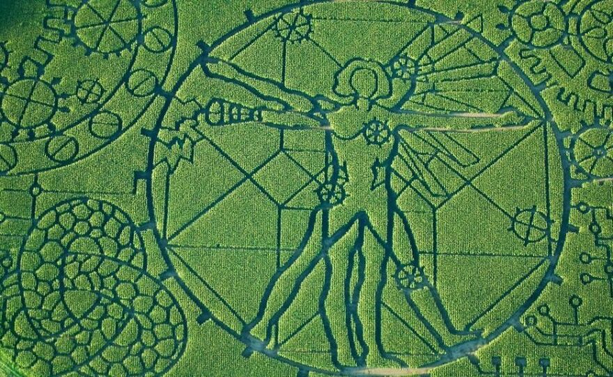 Treinen Farm brought Leonardo Da Vinci's Vitruvian Man to life in its 2012 corn maze.