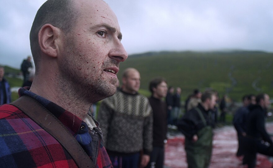 The end of a pilot whale hunt, hundreds of people head to the beach eager to get a free share of the meat.