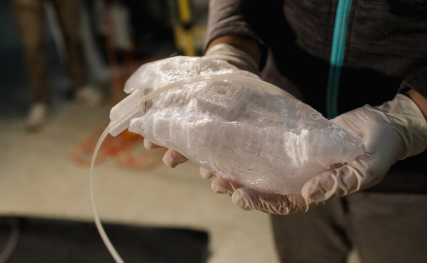 The plastic brace for the turtle's shell made using a 3D printer appears in this undated photo.