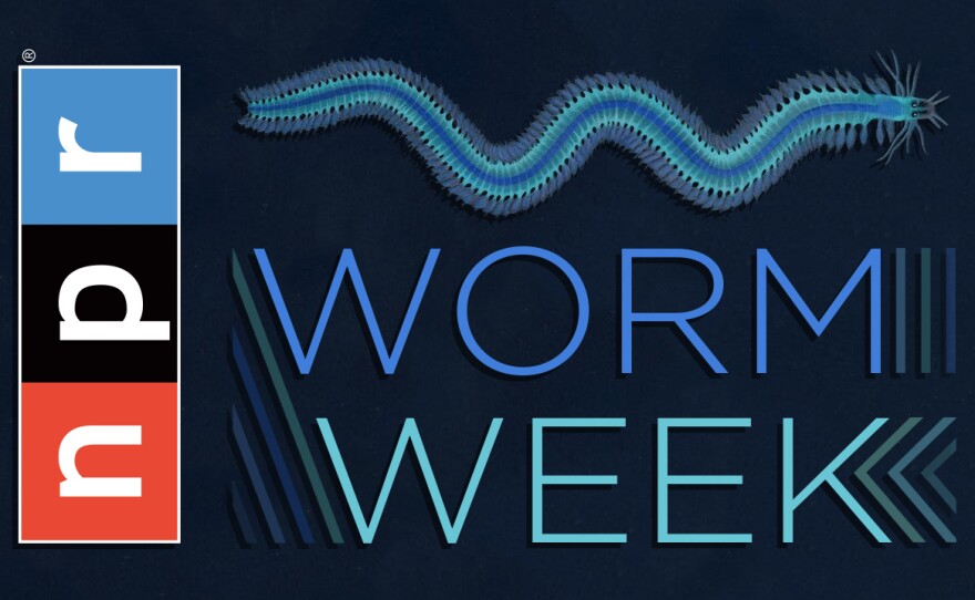 "It may be doubted whether there are many other animals which have played so important a part in the history of the world as these lowly ... creatures." That's what Charles Darwin said about earthworms. His quote applies to parasitic worms, too. This week Goats and Soda looks at the import of the lowly worm. Follow along at http://npr.org/wormweek.