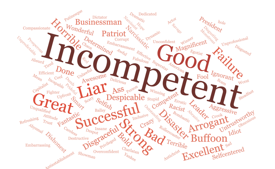 The NPR/<em>PBS NewsHour</em>/Marist poll asked what word comes to mind when thinking about President Trump. "Incompetent" stood out.