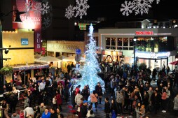 Illuminazione dell'albero di Little Italy