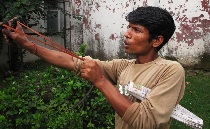 Mahendra Nath is one of 40 men in New Delhi who mimic the sounds of the aggressive langur monkey to scare away the smaller Rhesus monkeys that menace the city. The sling shot contains no actual shot — the aim is just to frighten away the monkeys.
