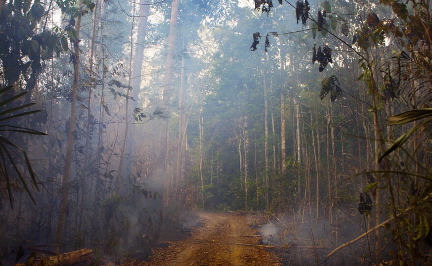 In Brazil's western state of Rondonia, a patch of the forest burns near a small farm.