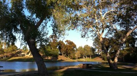 Libby Lake Park, Oceanside, April 2013