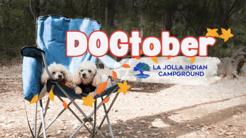 Dogtober
