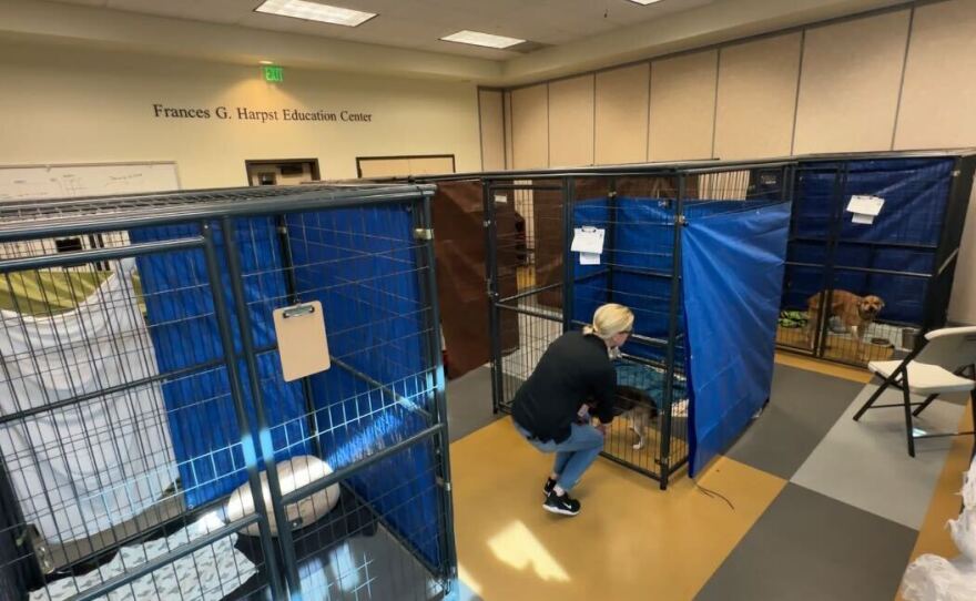 The San Diego Humane Society's Nina Thompson is shown comforting a dog being held in a temporary kennel at the Humane Society on January 12, 2023.