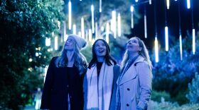 Lightscape Returns to San Diego Botanic Garden