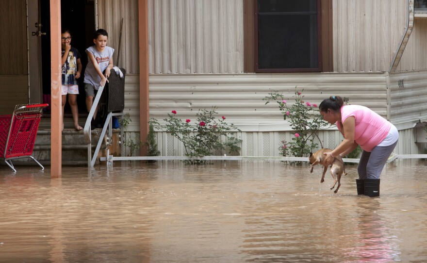 Alejandra Ventura lifts her dog out of the water after the Brazos River topped its banks and flooded a mobile home park in Richmond, Texas, on Tuesday.