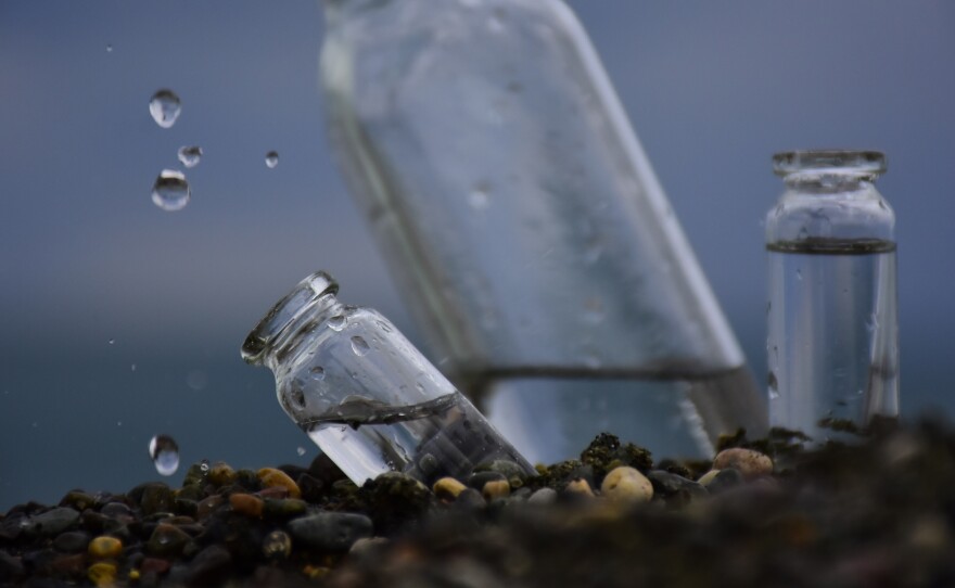 Just a 10 percent shift in the salt concentration of your blood would make you very sick. To keep that from happening, the body has developed a finely tuned physiological circuit that includes information about that and a beverage's saltiness, to know when to signal thirst.