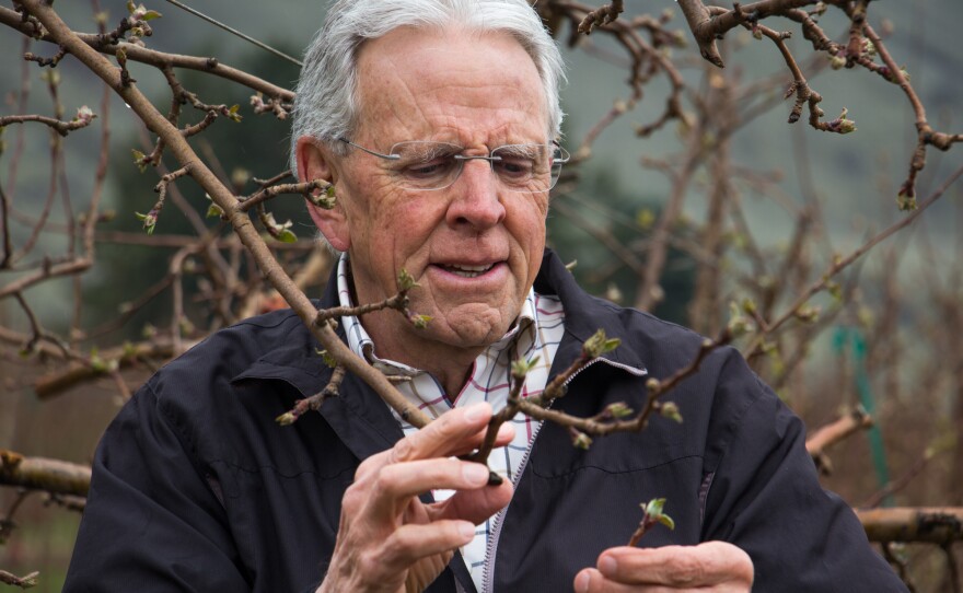 Bruce Barritt, retired apple breeder