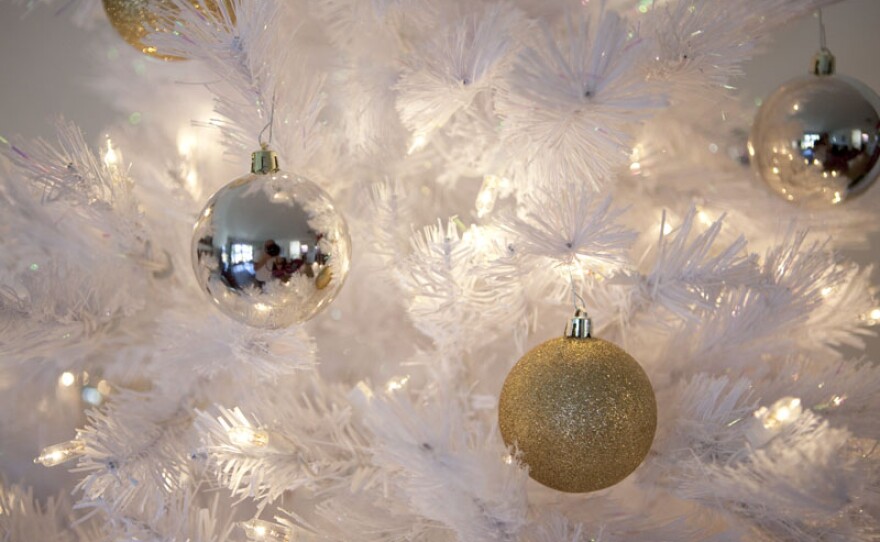 Daily photo for December 1st on the San Diego-based "Birds of a Feather" photo blog.