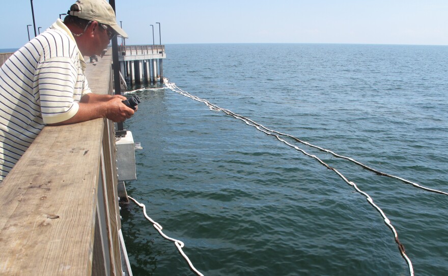Wetzel Wood of Orange Beach, Ala., looks out at oil fouling the Gulf of Mexico during the BP oil spill five years ago. Absorbent boom was deployed around the Gulf State Park Fishing Pier to collect the oil for cleanup.